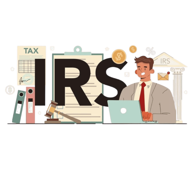 IRS audit representation